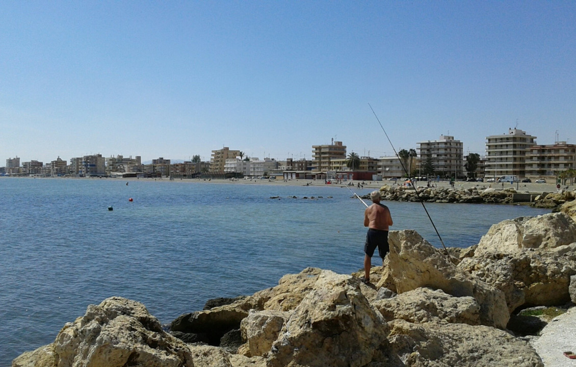 Alquiler Temporal - Apartamento - Santa Pola - Playa Levante