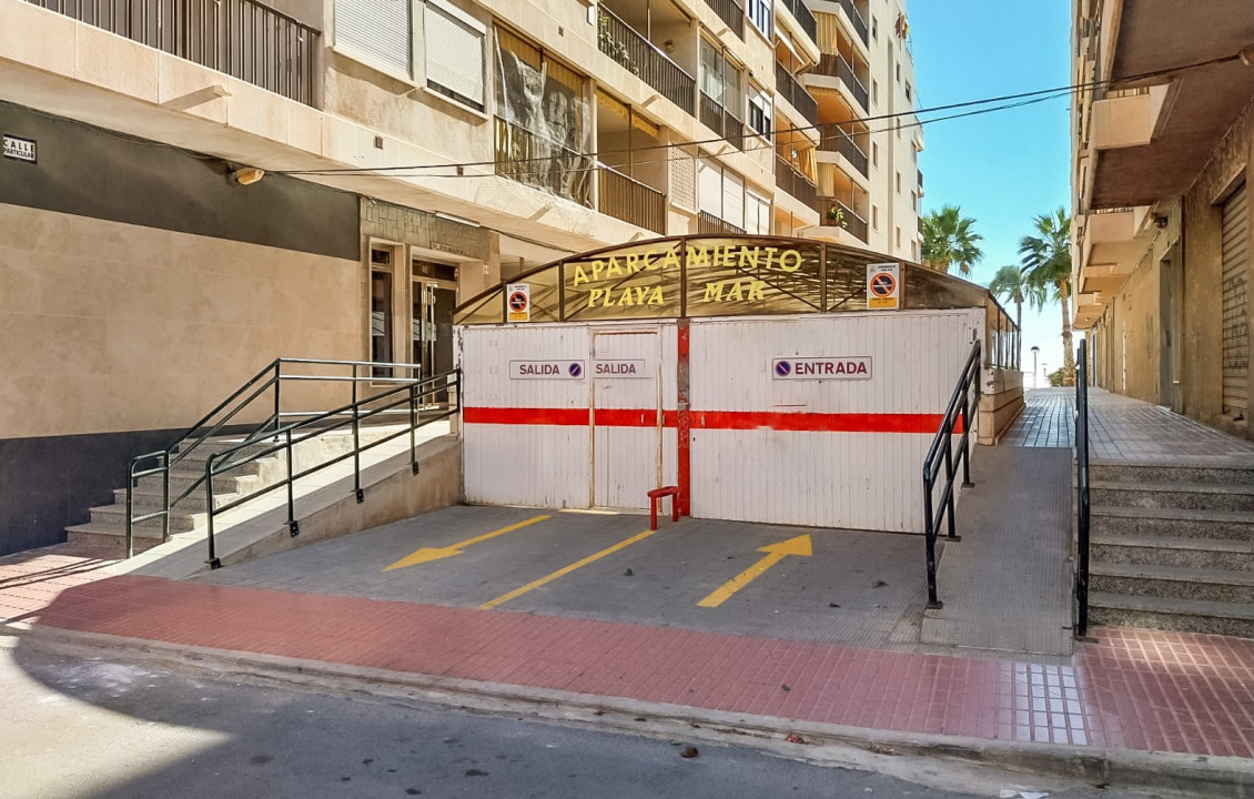 Seasonal Rental - Apartment - Santa Pola - Playa Levante