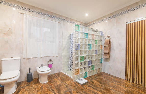 For Sale -  - Elche - Poligono carrus