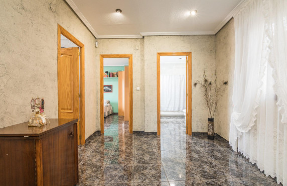 For Sale -  - Elche - Poligono carrus