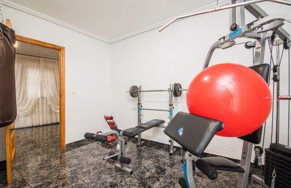 For Sale -  - Elche - Poligono carrus