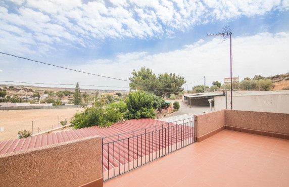 For Sale -  - Elche - Poligono carrus