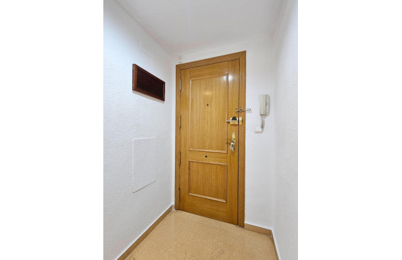 For Sale -  - San Vicente del Raspeig - ant parada Tram y Universidad Alicante