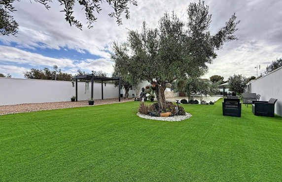 For Sale -  - Onil - El Pla