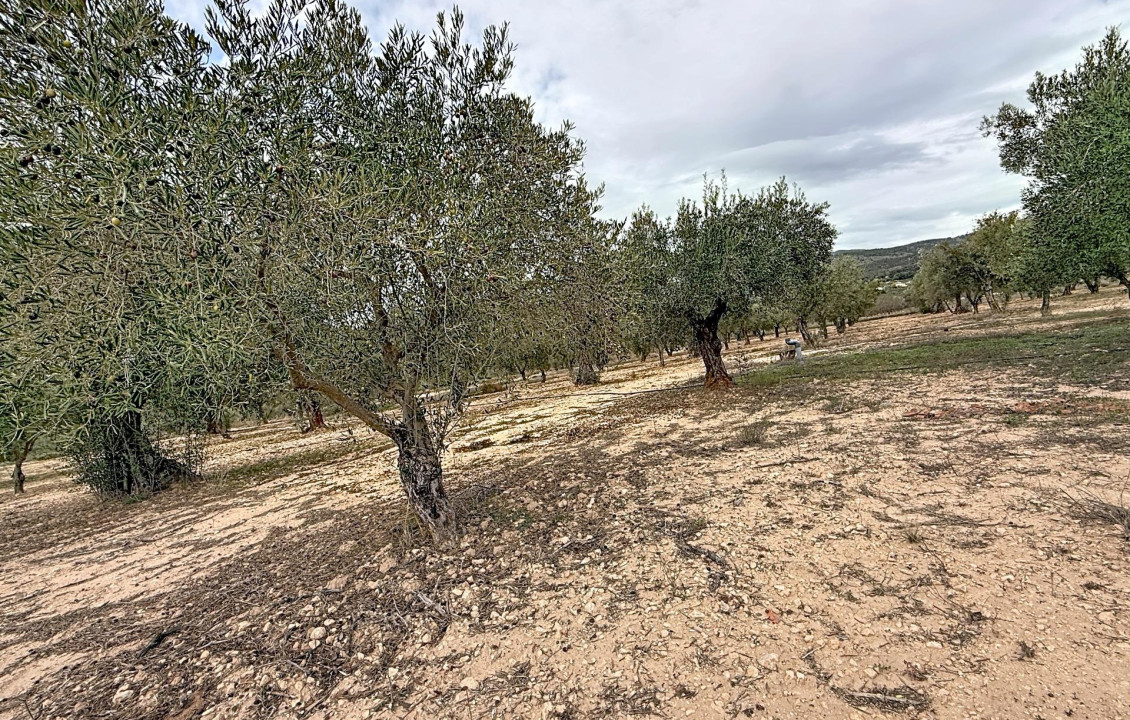 For Sale -  - Onil - El Pla