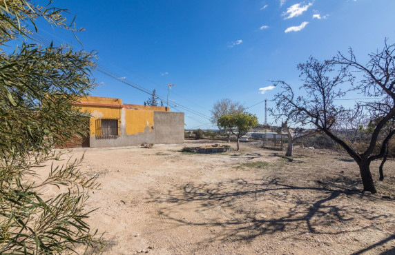  - villa - Elche - Carrus