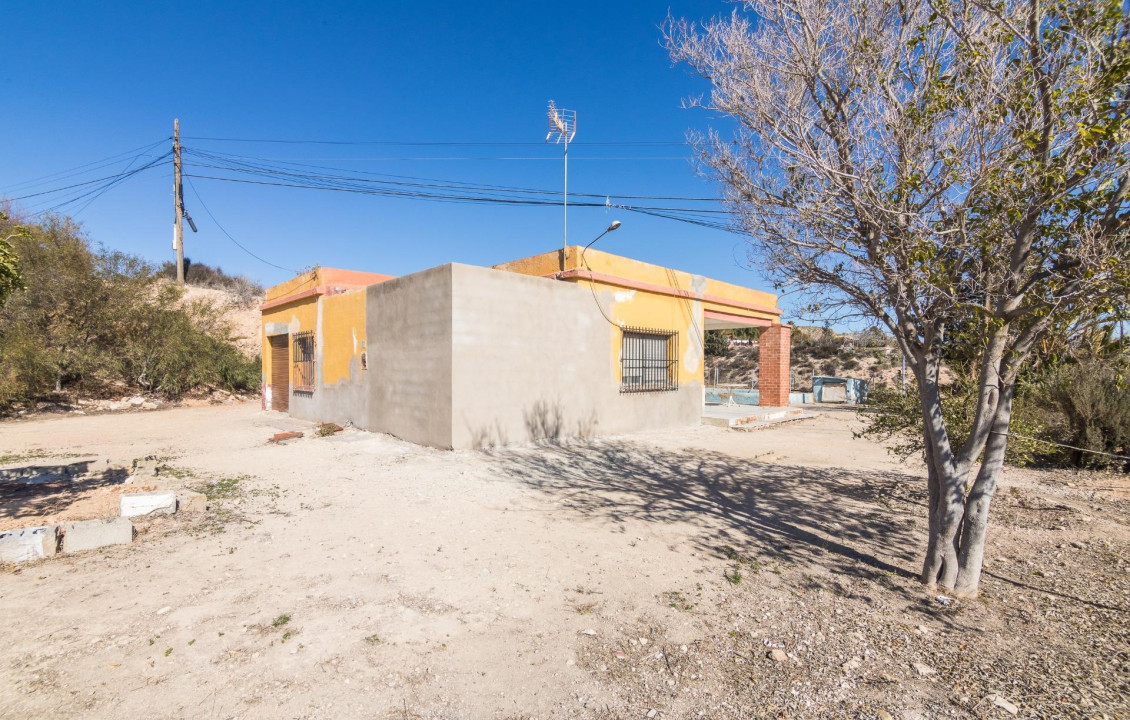  - villa - Elche - Carrus