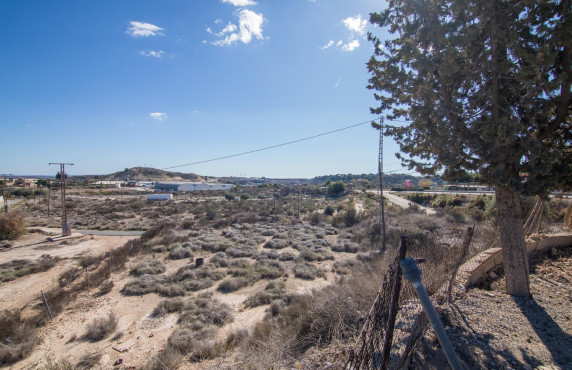  - villa - Elche - Carrus