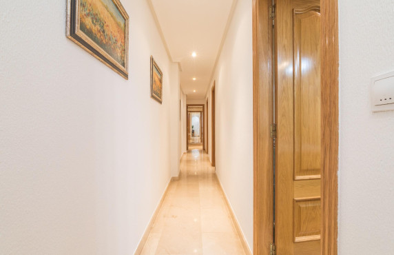 For Sale -  - Elche - Centro