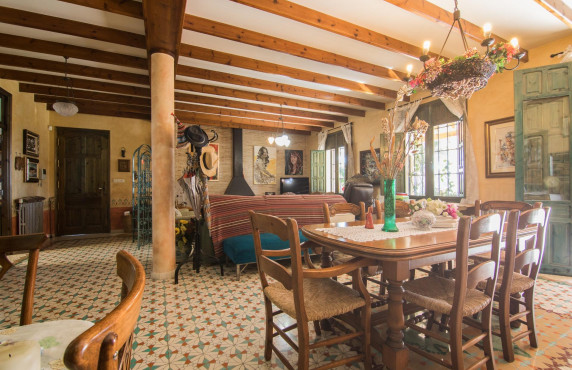 For Sale - villa - Elche - Alzabares