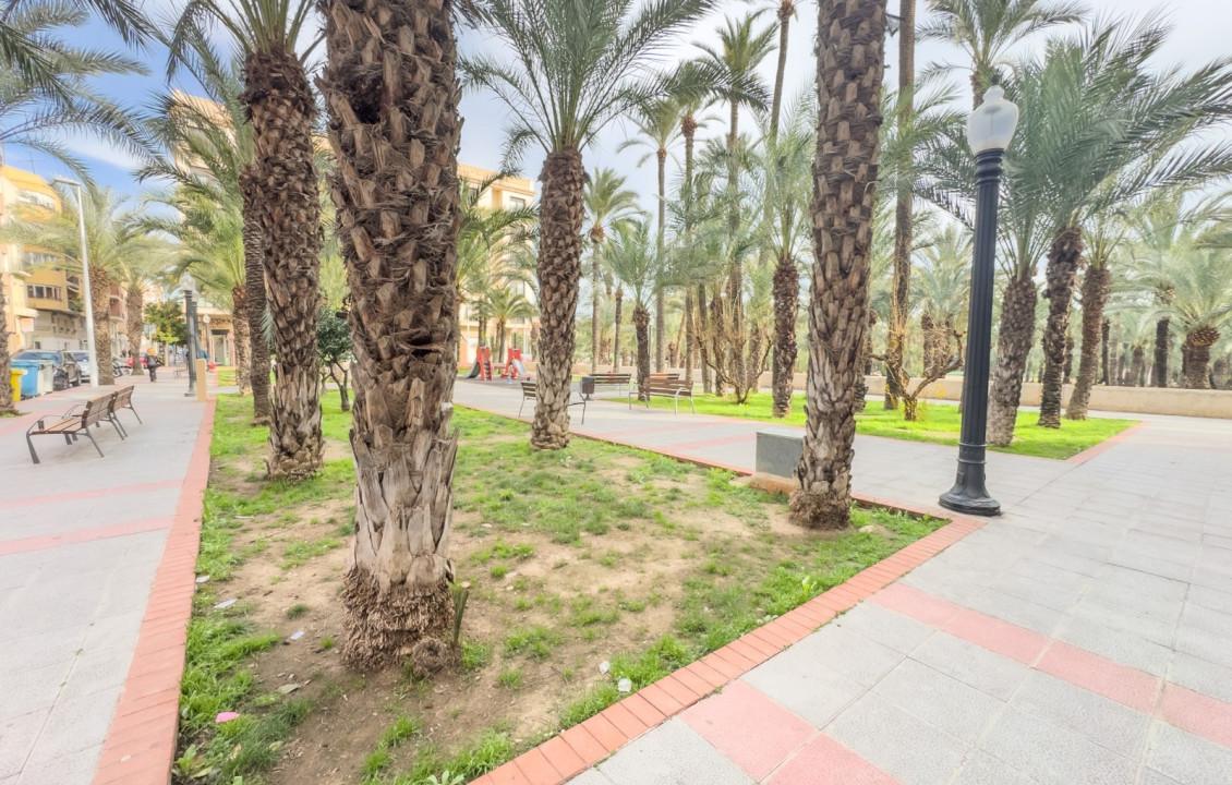 Alquiler Larga Estancia - Apartamento - Elche - FILET DE FORA
