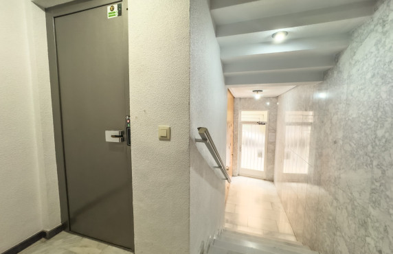 Alquiler Larga Estancia - Apartamento - Elche - FILET DE FORA