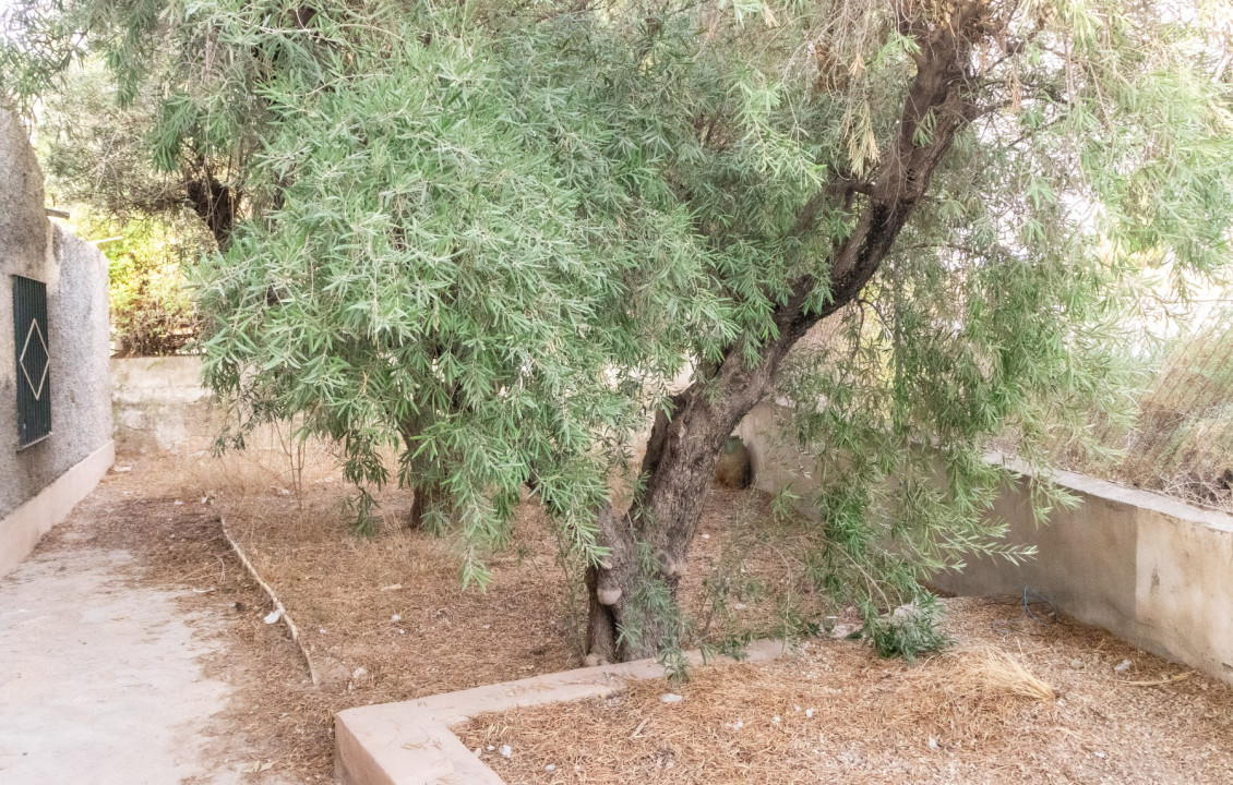 Venta - Chalet - Elche - Peña Las Águilas