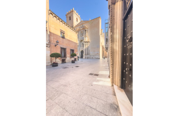 Alquiler Larga Estancia - Local comercial - Elche - Centro