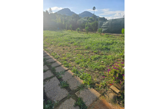 For Sale -  - Denia - Km 5