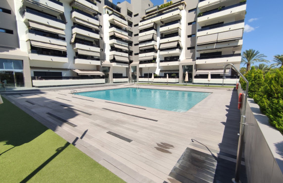 Long Rental Period - Apartment - Elche - Porcelanosa