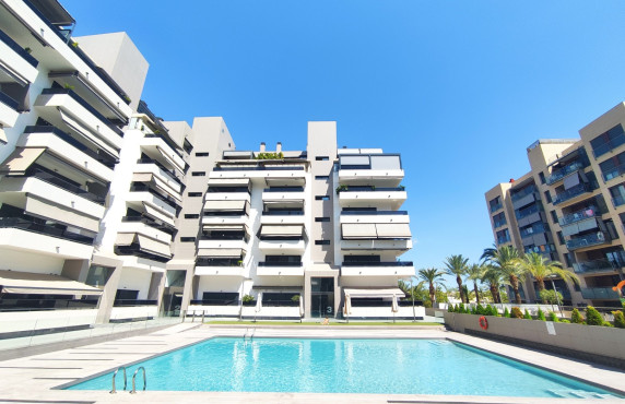 Long Rental Period - Apartment - Elche - Porcelanosa