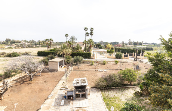 For Sale -  - Elche - LLANO SAN JOSE