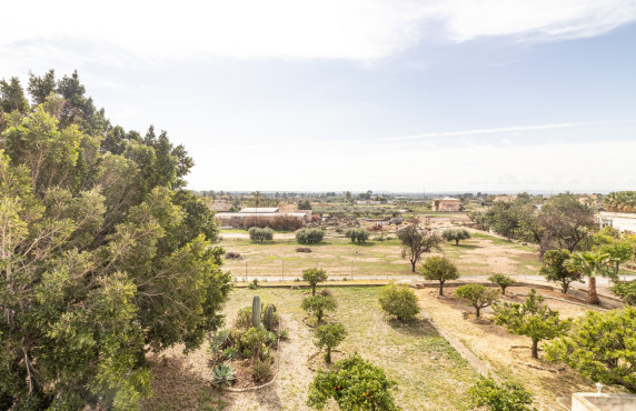 For Sale -  - Elche - LLANO SAN JOSE