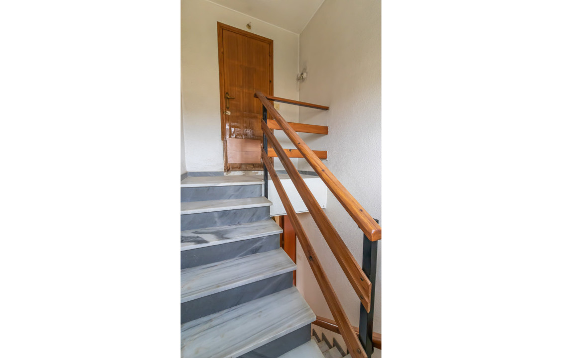 For Sale -  - Elche - LLANO SAN JOSE