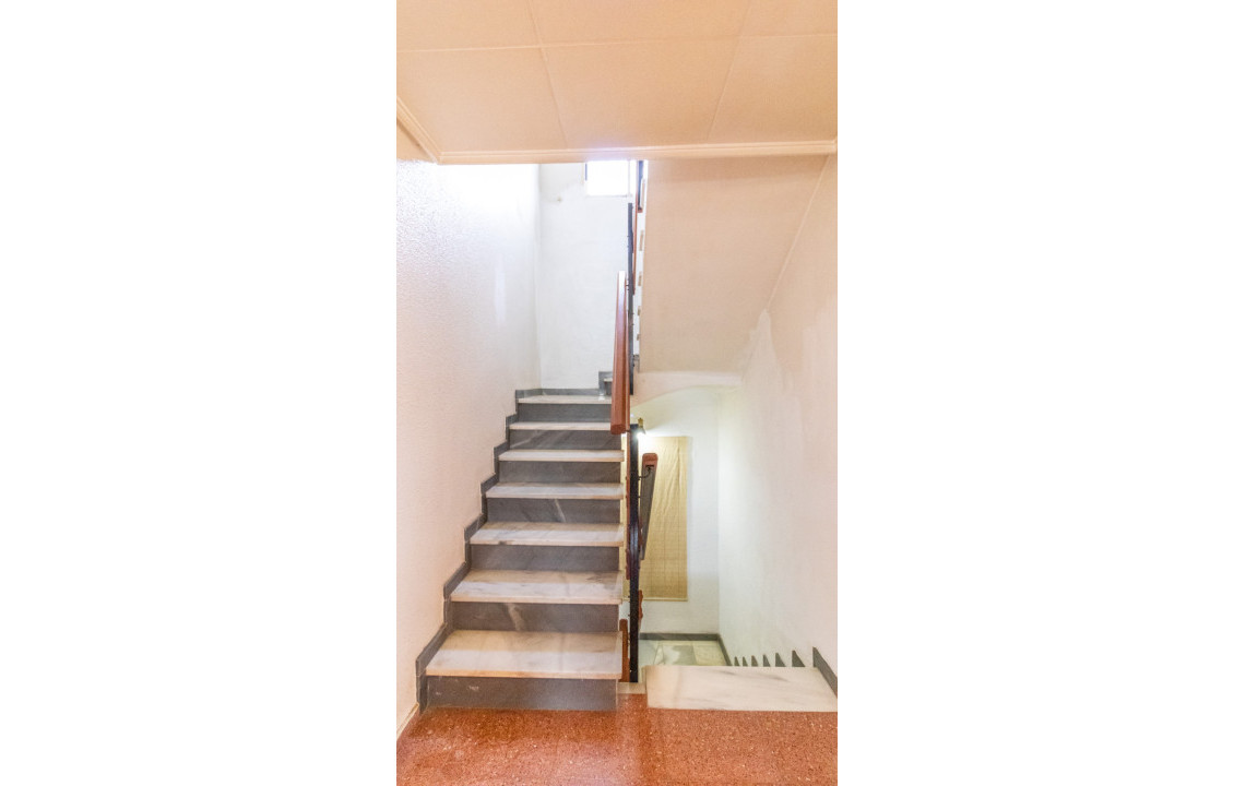 For Sale -  - Elche - LLANO SAN JOSE