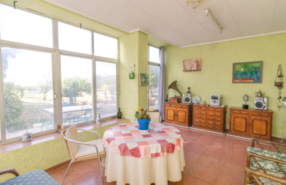 For Sale -  - Elche - LLANO SAN JOSE