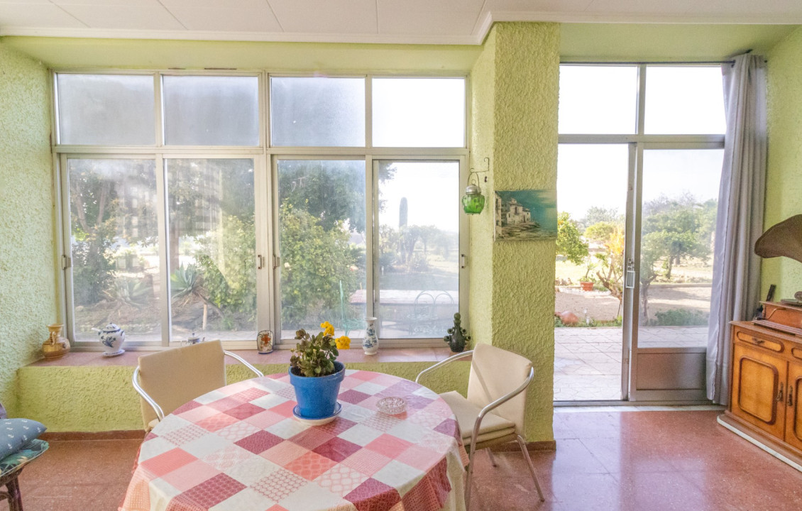 For Sale -  - Elche - LLANO SAN JOSE