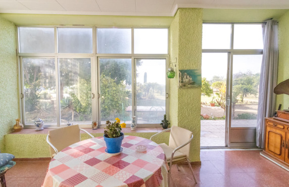 For Sale -  - Elche - LLANO SAN JOSE