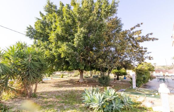 For Sale -  - Elche - LLANO SAN JOSE