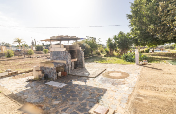 For Sale -  - Elche - LLANO SAN JOSE