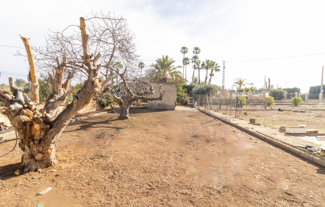 For Sale -  - Elche - LLANO SAN JOSE