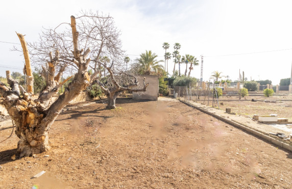 For Sale -  - Elche - LLANO SAN JOSE