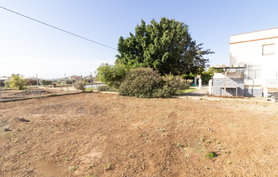 For Sale -  - Elche - LLANO SAN JOSE