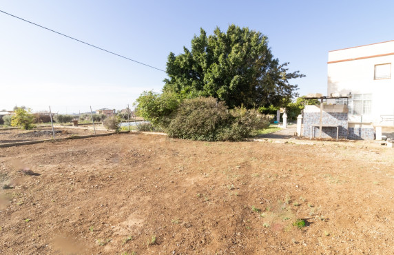 For Sale -  - Elche - LLANO SAN JOSE