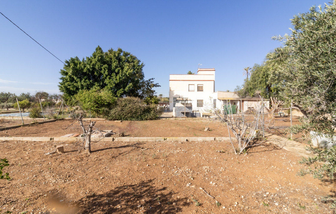 For Sale -  - Elche - LLANO SAN JOSE