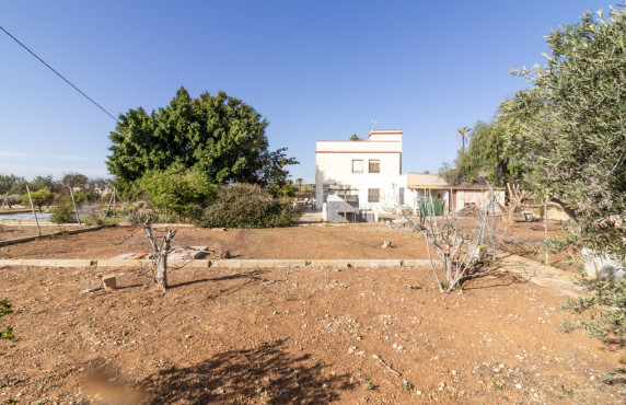 For Sale -  - Elche - LLANO SAN JOSE