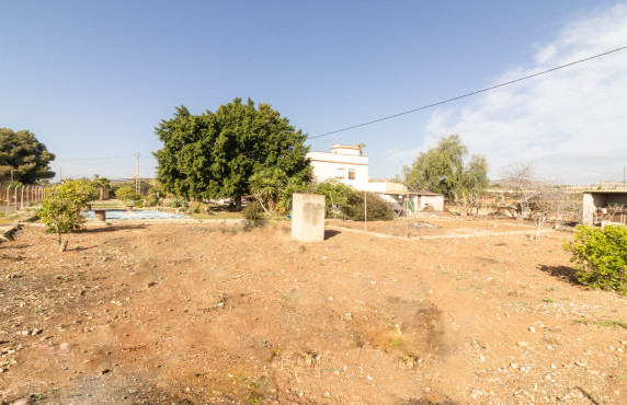 For Sale -  - Elche - LLANO SAN JOSE