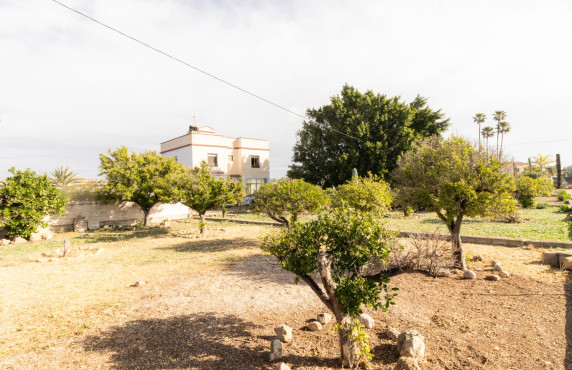 For Sale -  - Elche - LLANO SAN JOSE