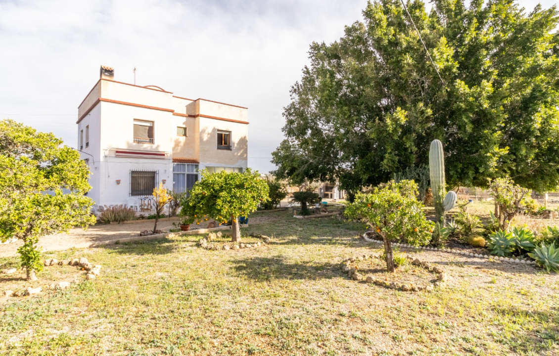For Sale -  - Elche - LLANO SAN JOSE
