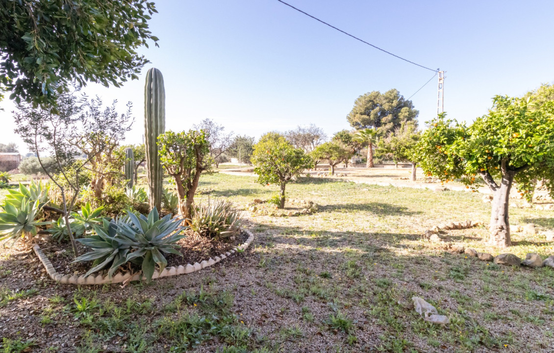 For Sale -  - Elche - LLANO SAN JOSE