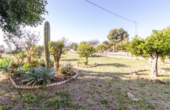 For Sale -  - Elche - LLANO SAN JOSE