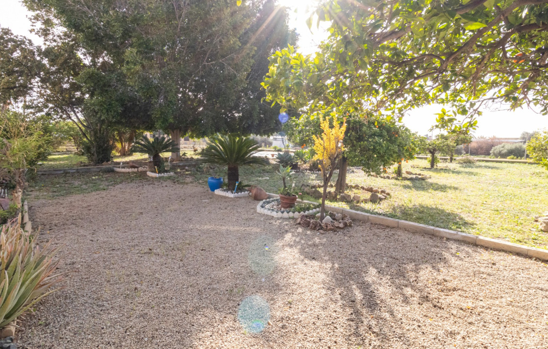 For Sale -  - Elche - LLANO SAN JOSE