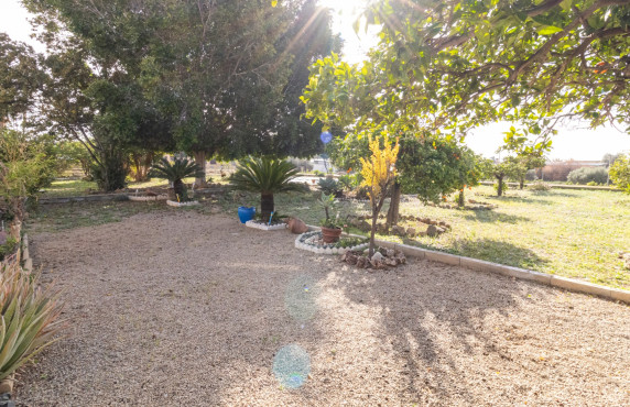 For Sale -  - Elche - LLANO SAN JOSE