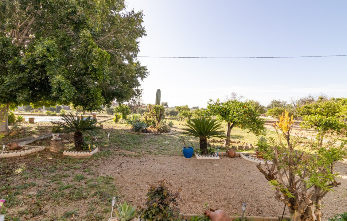 For Sale -  - Elche - LLANO SAN JOSE