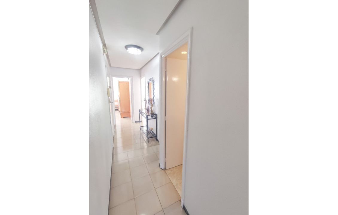 For Sale -  - Elche - Altabix