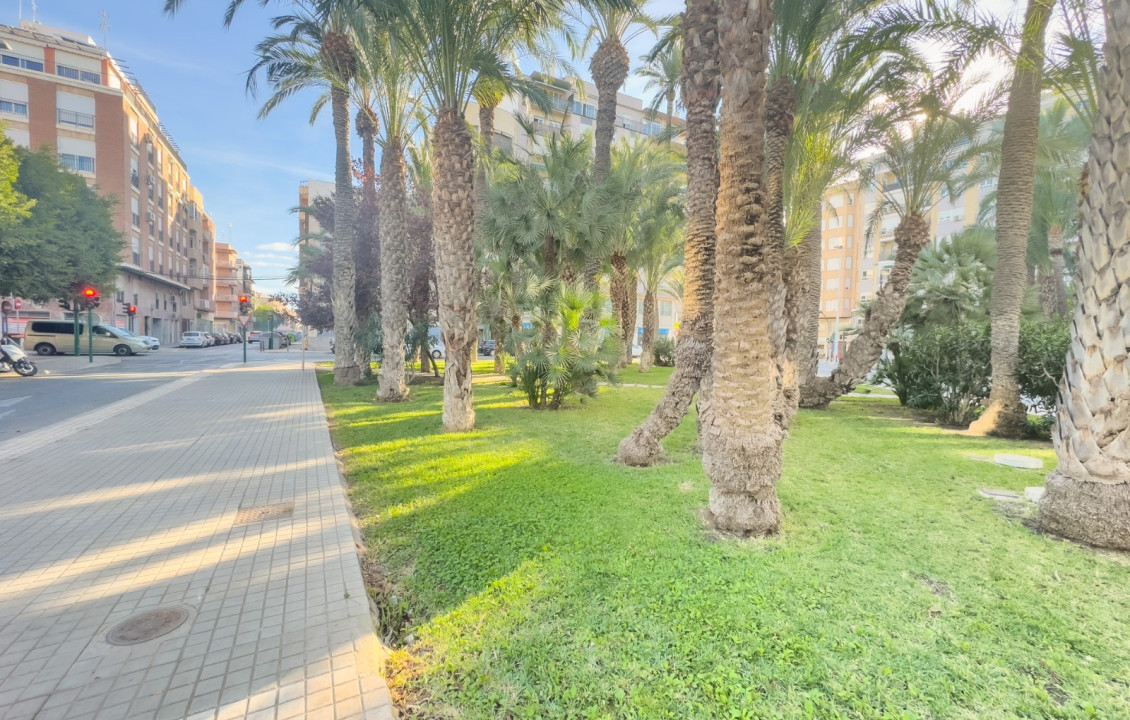 For Sale -  - Elche - Altabix