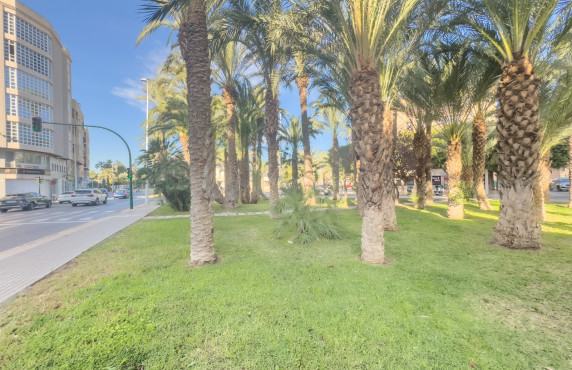 For Sale -  - Elche - Altabix