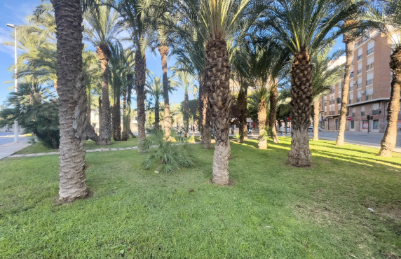 For Sale -  - Elche - Altabix