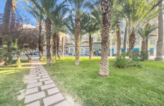 For Sale -  - Elche - Altabix