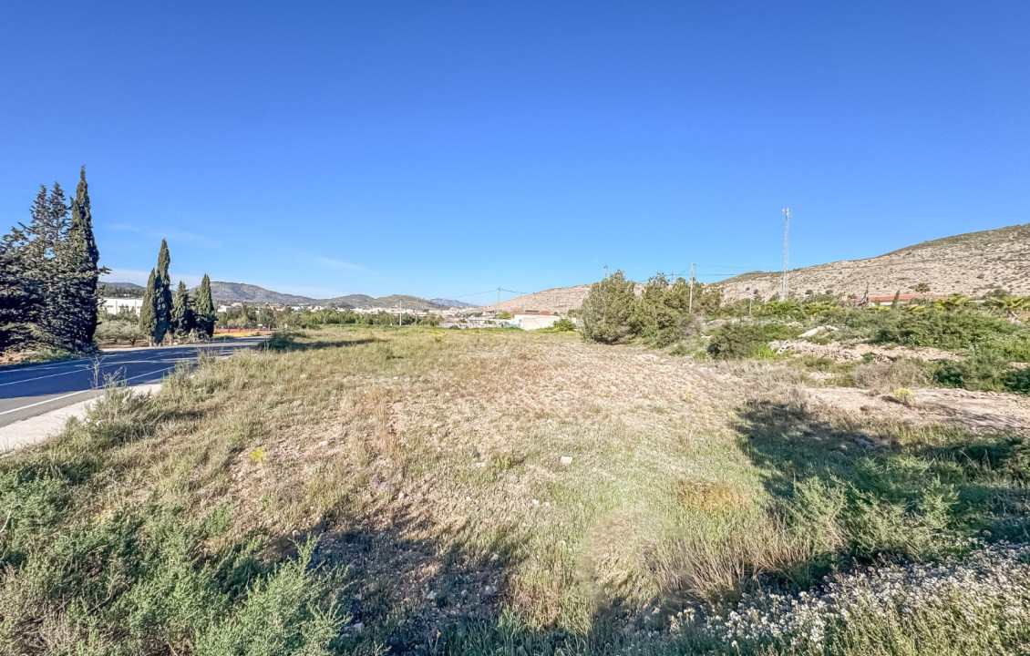 For Sale - Plot - Hondón de las Nieves - COLLAO